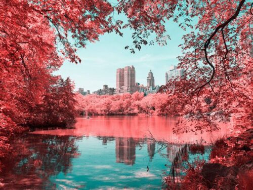 Il cromatismo surreale di New York nelle foto di Paolo Pettigiani