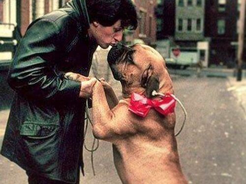 Sylvester Stallone: «Ero così povero da vendermi il cane». Ma con il primo stipendio…